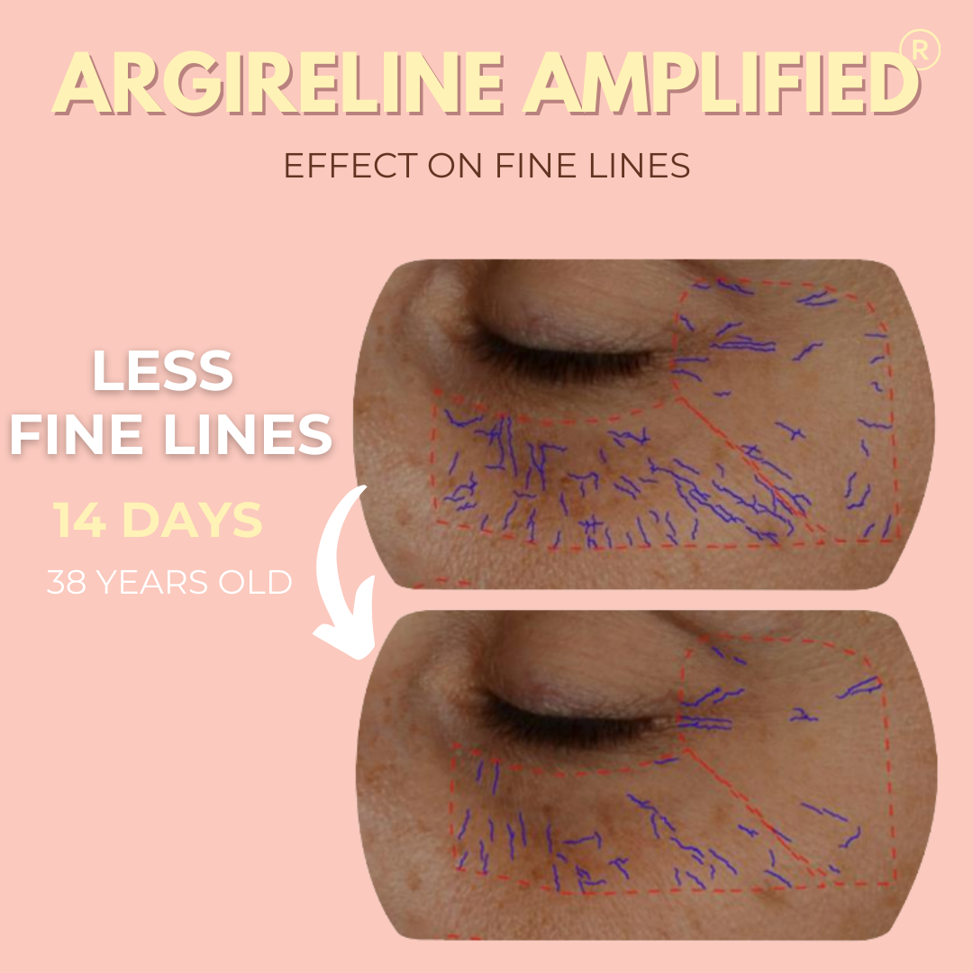 Glow Glaze Serum with 2% Argireline Amplified, Ceramide, Hyaluronic Acid & Centella Reversa