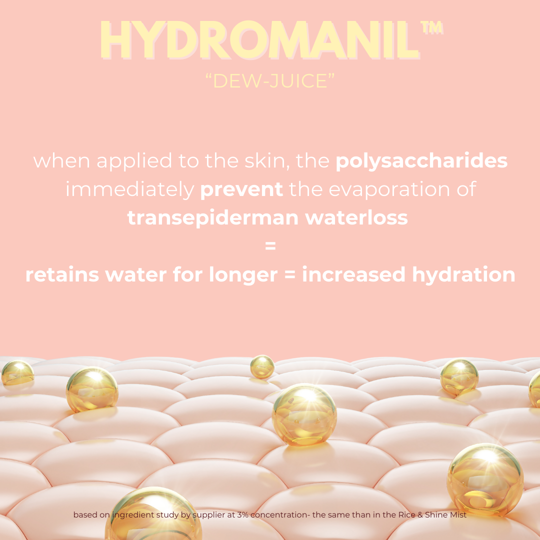 Exosomes Rice & Shine Mist with Centella, Rice Ferment & Hyaluronic Acid