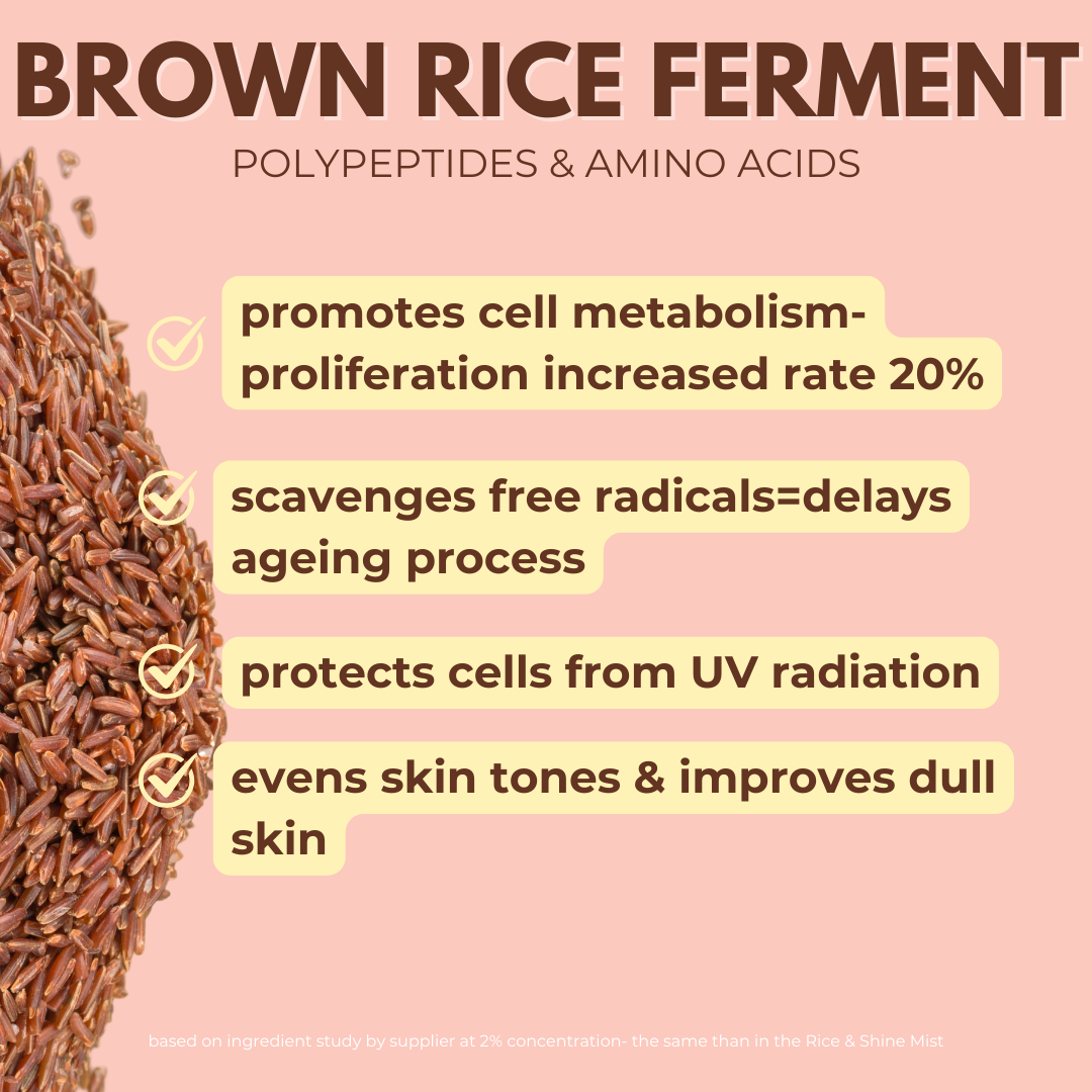 Exosomes Rice & Shine Mist with Centella, Rice Ferment & Hyaluronic Acid