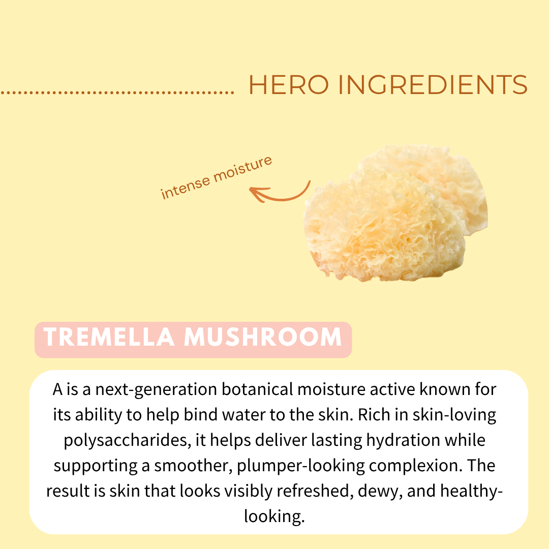 Exfoliating Mushroom Serum with 5% PHA, Tremella Mushroom, Hyaluronic Acid & Niacinamide