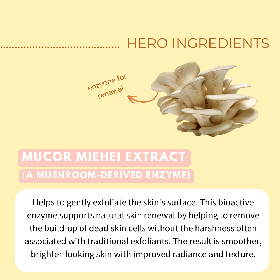 Exfoliating Mushroom Serum with 5% PHA, Tremella Mushroom, Hyaluronic Acid &amp; Niacinamide