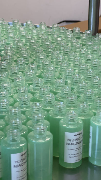 10% Niacinamide &amp; 1% Zinc Serum with Hyaluronic Acid